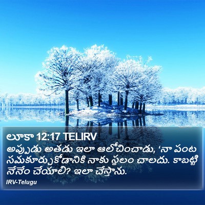 లూకా 12:17 TELIRV Bible Verse Image