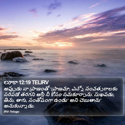 లూకా 12:19 TELIRV Bible Verse Image