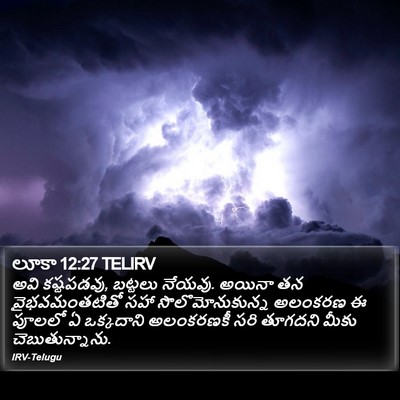 లూకా 12:27 TELIRV Bible Verse Image