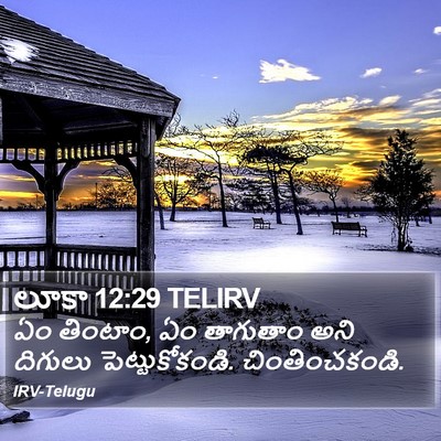 లూకా 12:29 TELIRV Bible Verse Image
