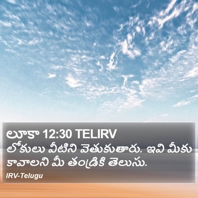 లూకా 12:30 TELIRV Bible Verse Image