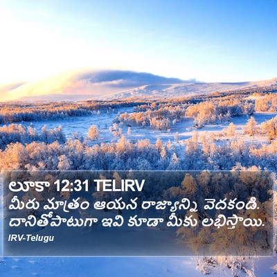 లూకా 12:31 TELIRV Bible Verse Image