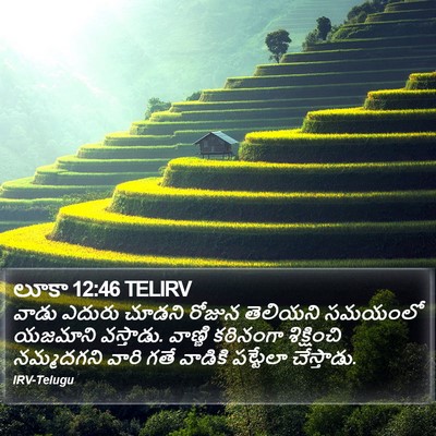 లూకా 12:46 TELIRV Bible Verse Image