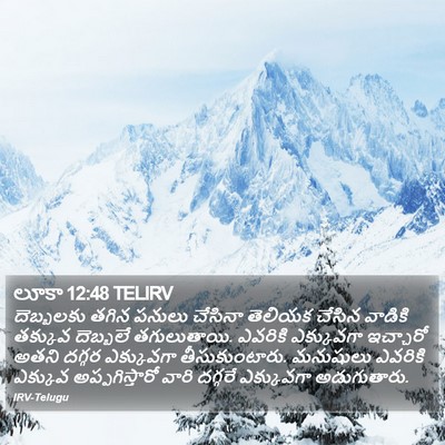 లూకా 12:48 TELIRV Bible Verse Image