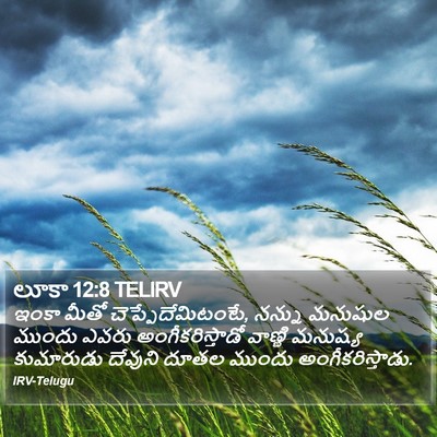 లూకా 12:8 TELIRV Bible Verse Image