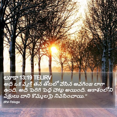 లూకా 13:19 TELIRV Bible Verse Image