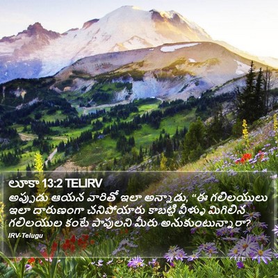 లూకా 13:2 TELIRV Bible Verse Image