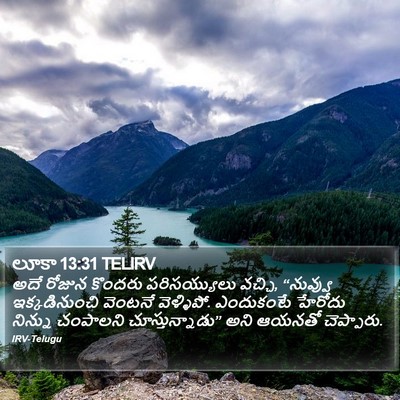 లూకా 13:31 TELIRV Bible Verse Image