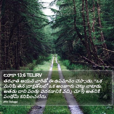 లూకా 13:6 TELIRV Bible Verse Image