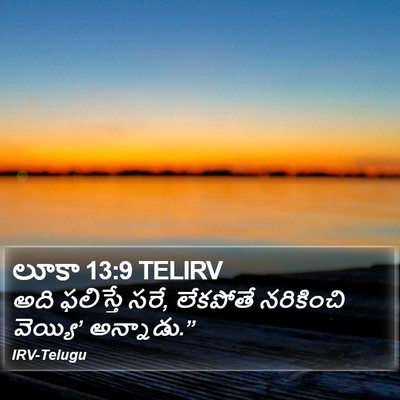 లూకా 13:9 TELIRV Bible Verse Image