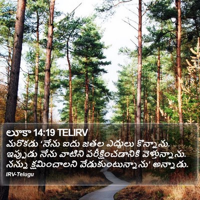 లూకా 14:19 TELIRV Bible Verse Image