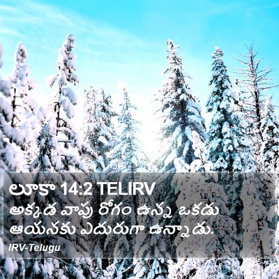 లూకా 14:2 TELIRV Bible Verse Image
