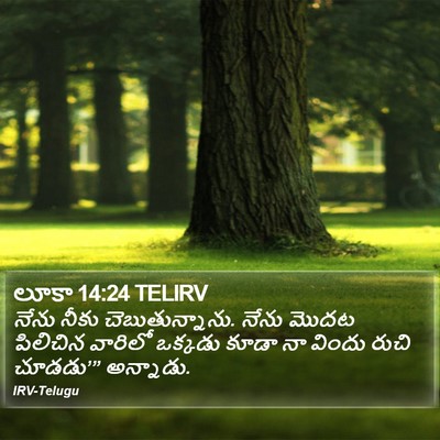లూకా 14:24 TELIRV Bible Verse Image