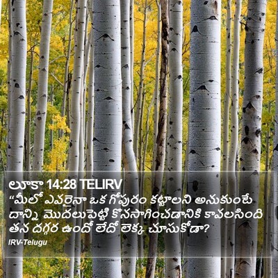 లూకా 14:28 TELIRV Bible Verse Image