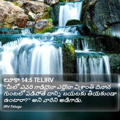 లూకా 14:5 TELIRV Bible Verse Image