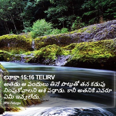 లూకా 15:16 TELIRV Bible Verse Image