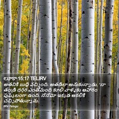 లూకా 15:17 TELIRV Bible Verse Image