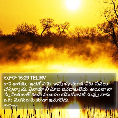 లూకా 15:29 TELIRV Bible Verse Image