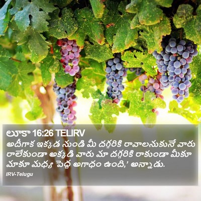 లూకా 16:26 TELIRV Bible Verse Image