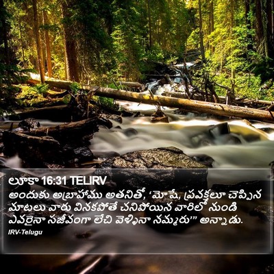 లూకా 16:31 TELIRV Bible Verse Image