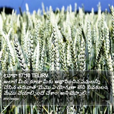 లూకా 17:10 TELIRV Bible Verse Image