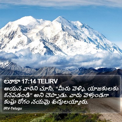 లూకా 17:14 TELIRV Bible Verse Image