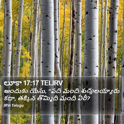 లూకా 17:17 TELIRV Bible Verse Image