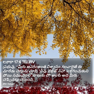 లూకా 17:6 TELIRV Bible Verse Image