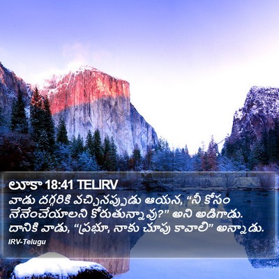 లూకా 18:41 TELIRV Bible Verse Image