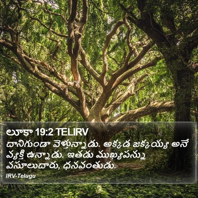 లూకా 19:2 TELIRV Bible Verse Image