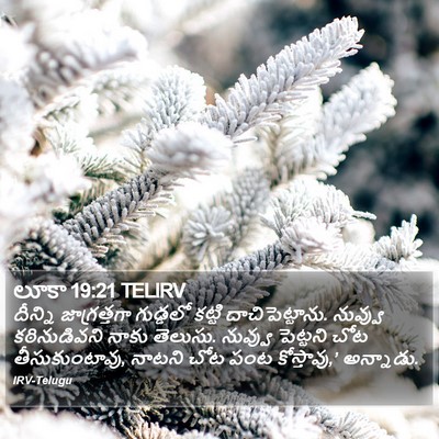 లూకా 19:21 TELIRV Bible Verse Image