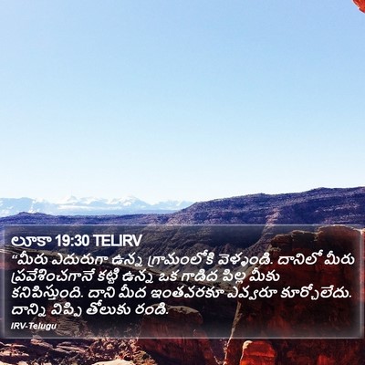 లూకా 19:30 TELIRV Bible Verse Image