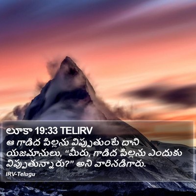 లూకా 19:33 TELIRV Bible Verse Image