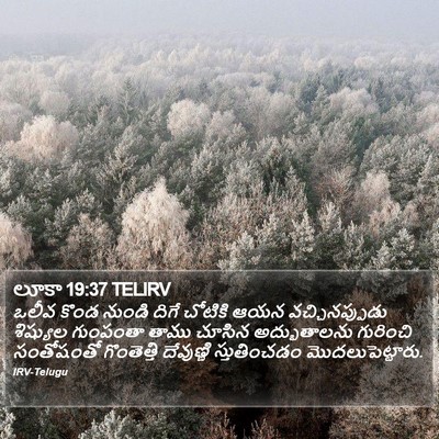 లూకా 19:37 TELIRV Bible Verse Image