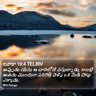 లూకా 19:4 TELIRV Bible Verse Image