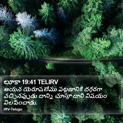 లూకా 19:41 TELIRV Bible Verse Image