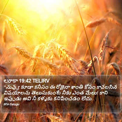 లూకా 19:42 TELIRV Bible Verse Image