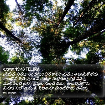 లూకా 19:43 TELIRV Bible Verse Image