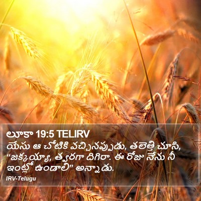 లూకా 19:5 TELIRV Bible Verse Image