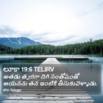 లూకా 19:6 TELIRV Bible Verse Image