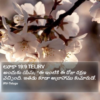 లూకా 19:9 TELIRV Bible Verse Image