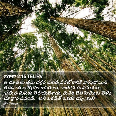 లూకా 2:15 TELIRV Bible Verse Image