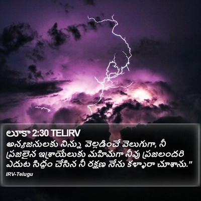 లూకా 2:30 TELIRV Bible Verse Image