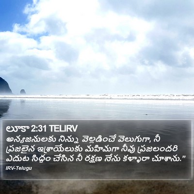 లూకా 2:31 TELIRV Bible Verse Image