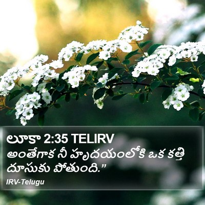 లూకా 2:35 TELIRV Bible Verse Image