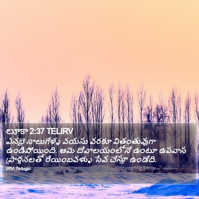 లూకా 2:37 TELIRV Bible Verse Image