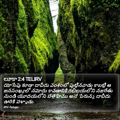 లూకా 2:4 TELIRV Bible Verse Image