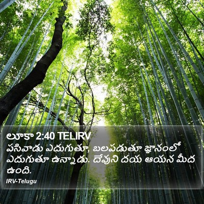 లూకా 2:40 TELIRV Bible Verse Image