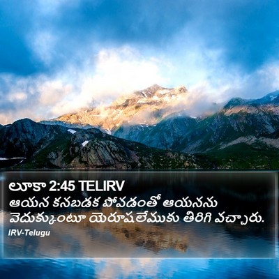 లూకా 2:45 TELIRV Bible Verse Image