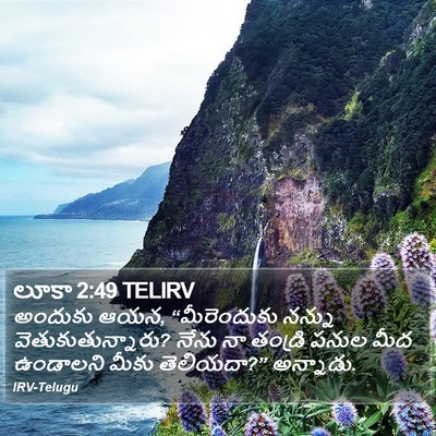 లూకా 2:49 TELIRV Bible Verse Image